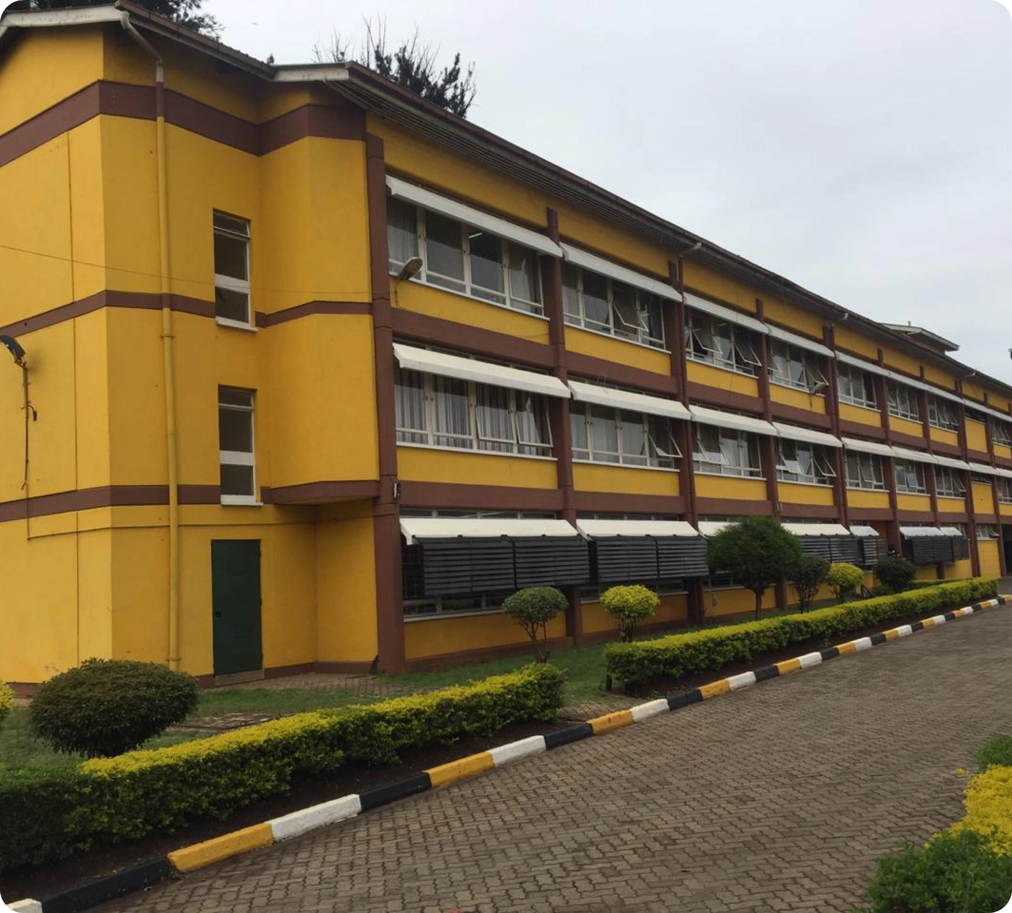 Mechanical and Transport Division